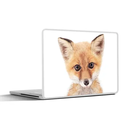 Produktbild von MuchoWow® Laptop Aufkleber Sticker Cover Fuchs - Tiere - Orange - Natur 30x22 cm - Laptop-Sticker