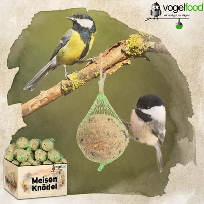 Produktbild von 200 x 90 g Meisenknödel mit Netz Meisenfutter Vogelfutter