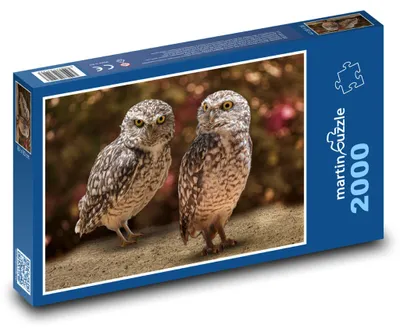 Obrázok produktu pre Puzzle 2000 Sovy v jesennom lese - martinpuzzle