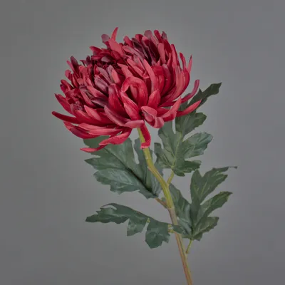 Produktbild von artplants.de Kunstblume Chrysantheme LINGYUN, rot, 65 cm - Künstlicher Blumenzweig