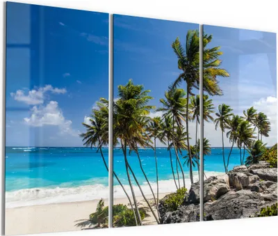 Produktbild von DEQORI Glasbild Echtglas 3x50x100 cm 'Tropenparadies' Wandbilder XXL groß