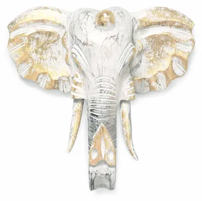 Zdjęcie produktu dla Cabeza Grande de Elefante - Złoto i Biało