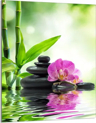 Produktbild von Glasschneidebrett 40x52 Orchidee