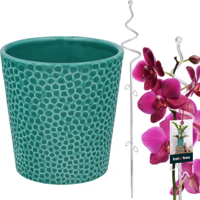 Produktbild von KOTARBAU® Blumentopf Türkisfarben Keramik glasiert 15 cm mit Pflanzenstütze Transparent PVC 58 cm Orchideentopf Keramik mit Blumenstütze Rankhilfe Pflanztopf Orchideenstab Stützstab dekorative Pflanzenhalter