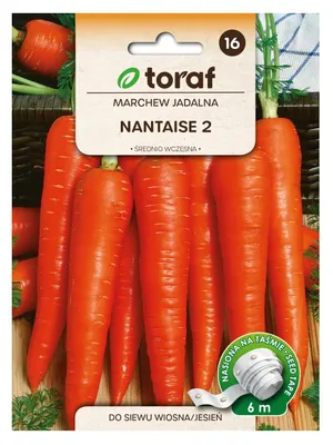 Zdjęcie produktu dla Marchew NANTAISE 2 (taśma 6m)