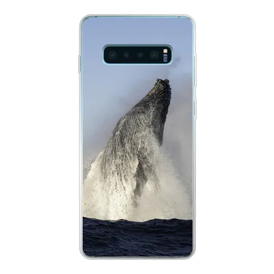 Produktbild von MuchoWow® Handyhülle Schutzhülle Hülle für Samsung Galaxy S10 Plus Wal - Wasser - Südafrika Silikon Softcase Handy Hülle - Schutzhülle
