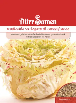Artikelbild 1 von 'Radichhiosalat Variegata di Castelfranco' aus der Kategorie Radicchiosamen