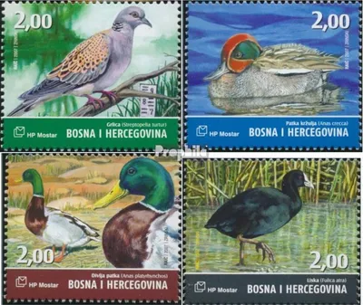 Produktbild von Briefmarken Bosnien - Kroat. Post Mostar 2007 Mi 215-218 (kompl.Ausg.) postfrisch Vögel