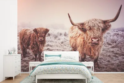 Produktbild von MuchoWow® Fototapete für Wohnzimmer oder Schlafzimmer Wandtapete Vinyl Motivtapete Schottische Highlander - Schnee - Sonne - 450x300 cm - Gemusterte