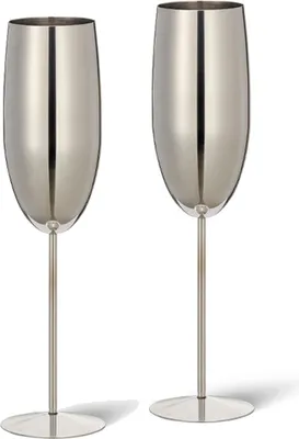 Zdjęcie produktu dla zestaw upominkowy 2 kieliszków do szampana ze stali nierdzewnej (250 ml), kieliszki do szampana i prosecco - dekoracja stołu na Halloween, zestaw upominkowy na Boże Narodzenie, srebrny, 2 szt