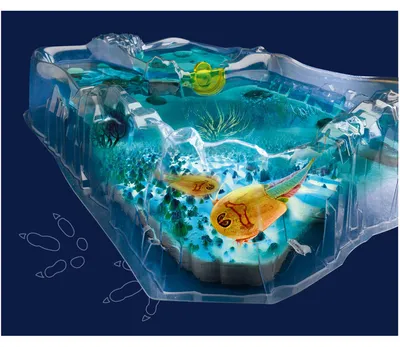 Image de Fun Science Élever des triops