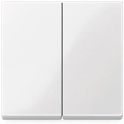 A close-up studio shot of a white, double light switch.