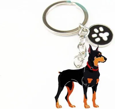 Zdjęcie produktu dla Smycz metalowa dla miłośników dobermanów