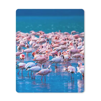 Produktbild von MuchoWow® Mauspad Mousepad Flamingo - Wasser - Tropisch - Rosa 19x23 cm - Mousepads - Maus Mat - Pad - Mausunterlage - Mauspads - Spielen