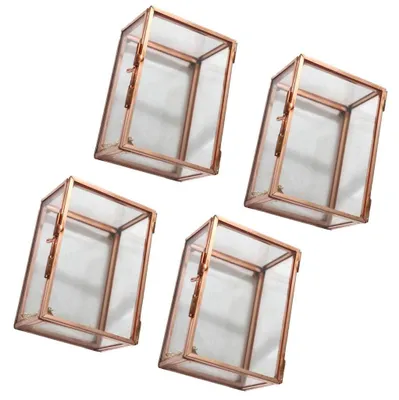 Zdjęcie produktu dla Zestaw 4 geometrycznych szklanych terrariów