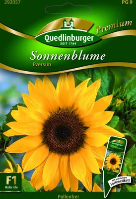Produktbild von Sonnenblumen, Eversun