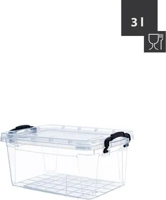 Produktbild von Livinja Box SOFIA mit Deckel und Griffen 3 L, 26 x 17 x 11,5cm, Transparent, Polypropylen