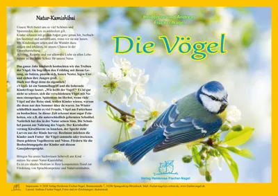 Produktbild von Natur-Kamishibai / Kamishibai - Die Vögel