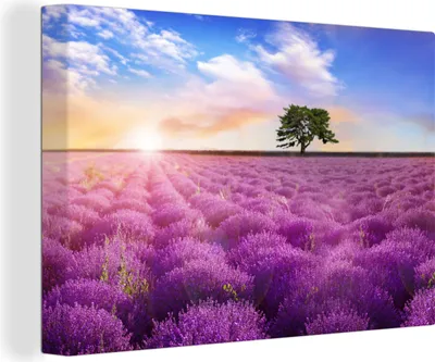 Produktbild von OneMillionCanvasses® - Leinwandbilder - 150x100 cm, Lavendel - Baum - Sonnenuntergang - Lila, Wandbilder Kunstdruck Wanddekoration - Foto auf Leinwand - Gemälde auf Holzrahmen
