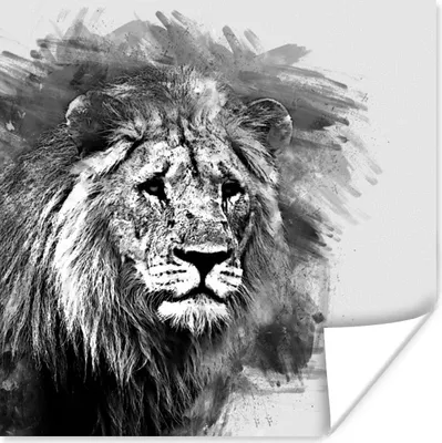 Produktbild von MuchoWow® Poster Löwe - Schwarz - Weiß 100x100 cm - Babyzimmer