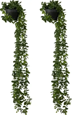 Image de Lot de 2 plantes artificielles suspendues Relaxdays, plantes artificielles en pot, eucalyptus artificiel d'aspect très réaliste, vert/noir