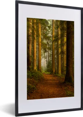 Produktbild von MuchoWow® Gerahmtes Poster Wald - Natur - Bäume - Landschaft - Laub 40x60 cm - Poster mit Schwarzem Bilderrahmen Wandposter Rahmen Foto Bilder - Poster in Rahmen