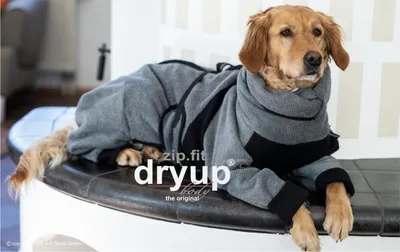 Produktbild von Dryup Body Zip Fit grau L (65cm)
