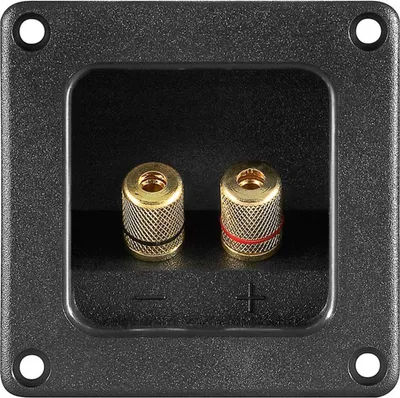 Image de goobay Terminal haut-parleur 2 pôles (Bulk)