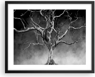 Produktbild von Gerahmtes Poster - Schwarzer Rahmen - Schwarzweiß Äste Rauch - 50x40 cm - Wand Bild - Wanddeko - Wandbilder - Kunstposter - Wandposter - Bilderrahmen - Bilder - Kunstdruck - Wandbild - P2BAA50x40-4346