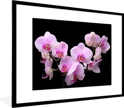 Produktbild von MuchoWow® Gerahmtes Poster Orchidee - Blumen - Rosa - Flora 80x60 cm - Poster mit Schwarzem Bilderrahmen Wandposter Rahmen Foto Bilder - Schlafzimmer-Dekorationen - Fotoposter