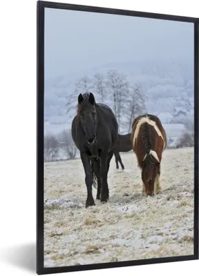 Produktbild von MuchoWow® Gerahmtes Poster Pferde - Schnee - Weiß 40x60 cm - Poster mit Schwarzem Bilderrahmen Wandposter Rahmen Foto Bilder - Papierdruck - Wandbilder
