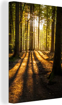Produktbild von OneMillionCanvasses® - Leinwandbilder - 90x140 cm, Sonne - Bäume - Wald - Landschaft - Natur, Wandbilder Kunstdruck Wanddekoration - Foto auf Leinwand - Gemälde auf Holzrahmen  - Wandschmucke - Schlafzimmer