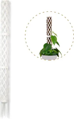 Produktbild von Famanu Pflanzenstütze für Zimmerpflanzen - 70 cm, Weiß