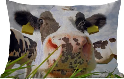 Produktbild von MuchoWow® Outdoor Kissen - Kuh - Bauernhof - Gras - Tiere - 60x40 cm - Wetterfest - Lounge Kissen - Zierkissen - Kissen für Innenräume
