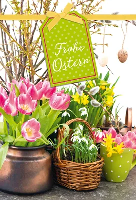 Produktbild von Ostern - Glückwunschkarte im Format 11,5 x 17 cm mit Briefumschlag