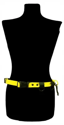 Produktbild von ShelbyPETSAccessories Laufgürtel für Hunde, Wasserfest, Robust
