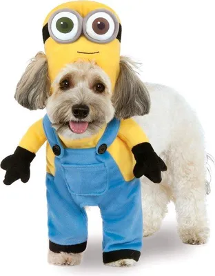 Imagen del producto de Disfraz de mascota Minion Bob, divertido y transformable, para adultos - Talla XL