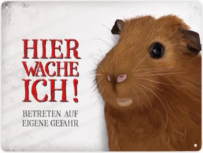 Produktbild von Betreten auf eigene Gefahr - Hier wache ich! Metallschild XXL mit