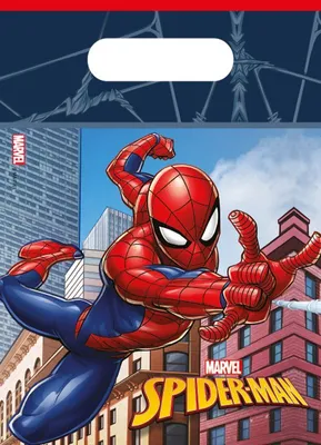 Produktbild von Procos 35122 Spider-Man Partytaschen, Tartan, Mehrfarbig