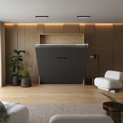 A murphy bed is shown in a living room setting, partially opened.