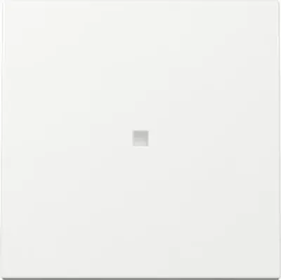 Image de Bascule Gira, panneau de système 55, blanc pur, 1 pièce.