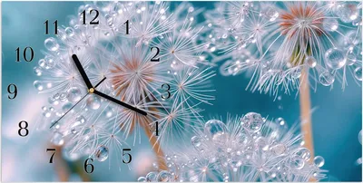 Produktbild von Wanduhr aus Glas mit Motiv Wassertropfen Pusteblume- 60 x 30 cm - inkl. Aufhängesystem