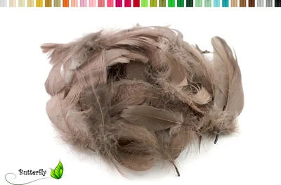 Produktbild von 5g Gänsefedern ca. 7-12cm, Farbauswahl:taupe 823