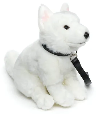 Produktbild von Uni-Toys - Weißer Schweizer Schäferhund Welpe, sitzend (mit Leine) - 26 cm (Höhe) - Plüsch-Hund, Berger Blanc Suisse - Plüschtier, Kuscheltier