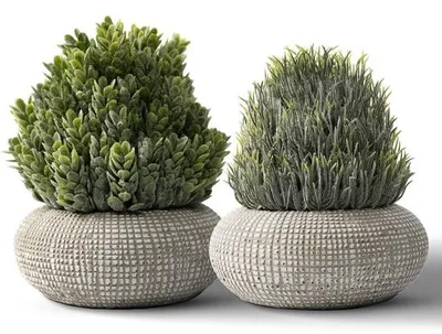 Immagine prodotto di Piante artificiali in vasi di cemento, 2 pezzi, 15,6/14,5 cm, soggiorno, ufficio, decorazione d'interni