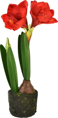 Produktbild von Künstliche Amaryllis in Moos - Rote Blüten, Deko Blume, Kunstpflanze, 49 cm, Raumdekoration