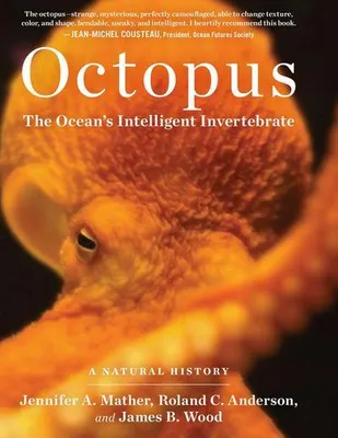 Produktbild von Octopus