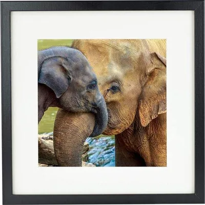Productafbeelding van Famanu fotolijst, 28 x 28 cm, met passe-partout van 20 x 20 cm - zwart