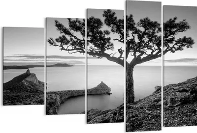 Produktbild von Bild auf Leinwand - Leinwandbild - 5 Teile - Baum Schwarzweiß Ansicht - 150x100cm - Wand Bild - Wanddeko - Wandbilder - Leinwanddruck - Bilder - Wanddekoration - Leinwand bilder - EG150x100-4297
