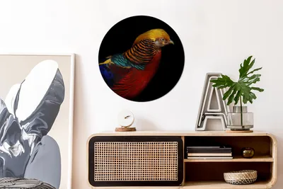 Produktbild von MuchoWow® - Wand Kreis - Das Schlafzimmer - Die Bilder - Wandmalerei - Kunst für das Haus - das Plastik